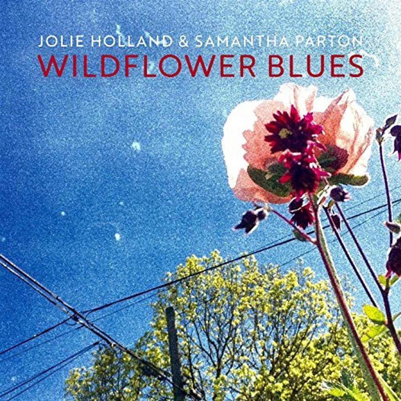 Jolie Holland & Samantha Parton Wildflower Blues Vinyl Record