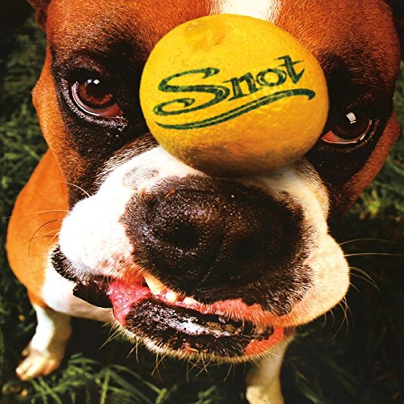 Snot Get Some Vinyl Record