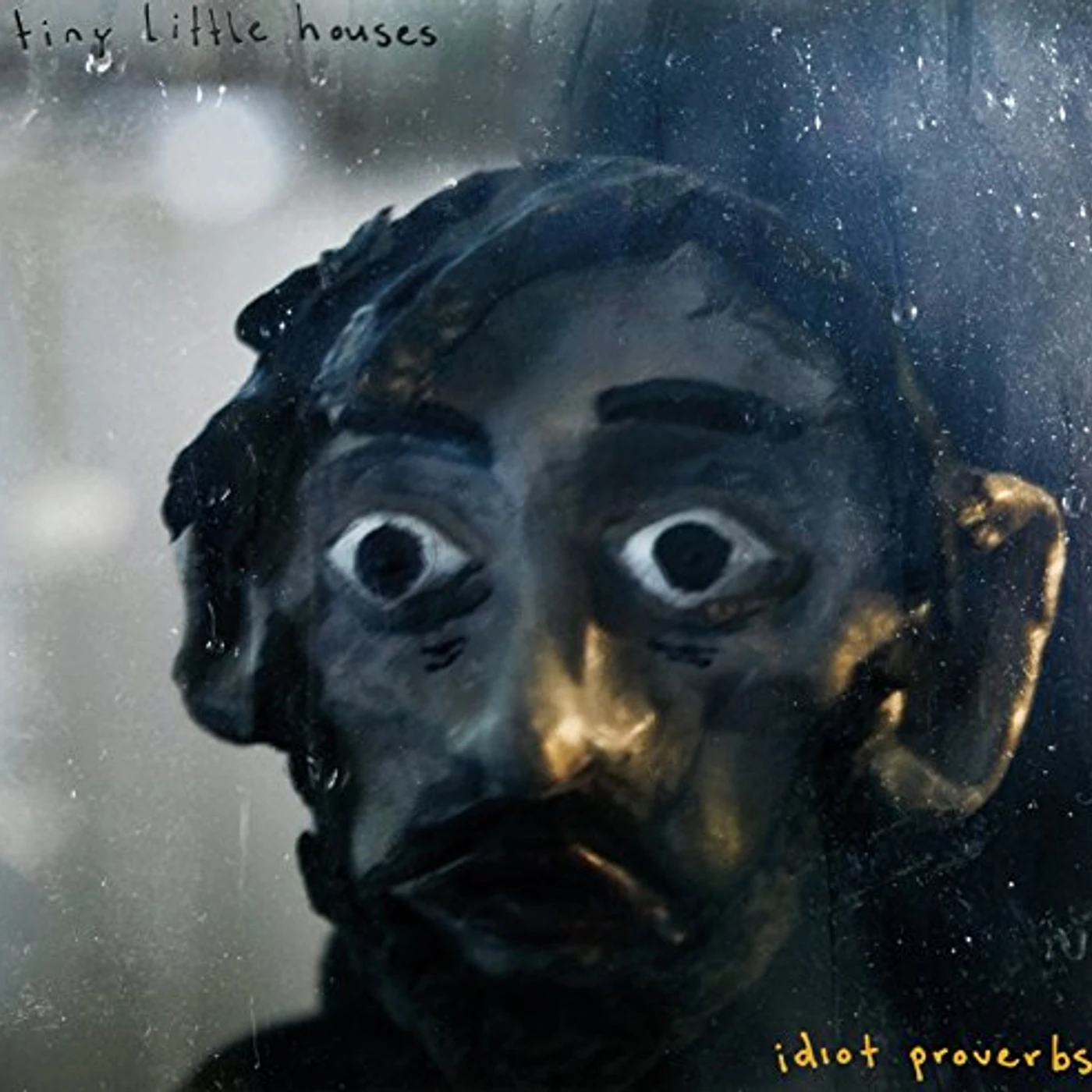 Tiny Little Houses IDIOT PROVERBS Vinyl Record
