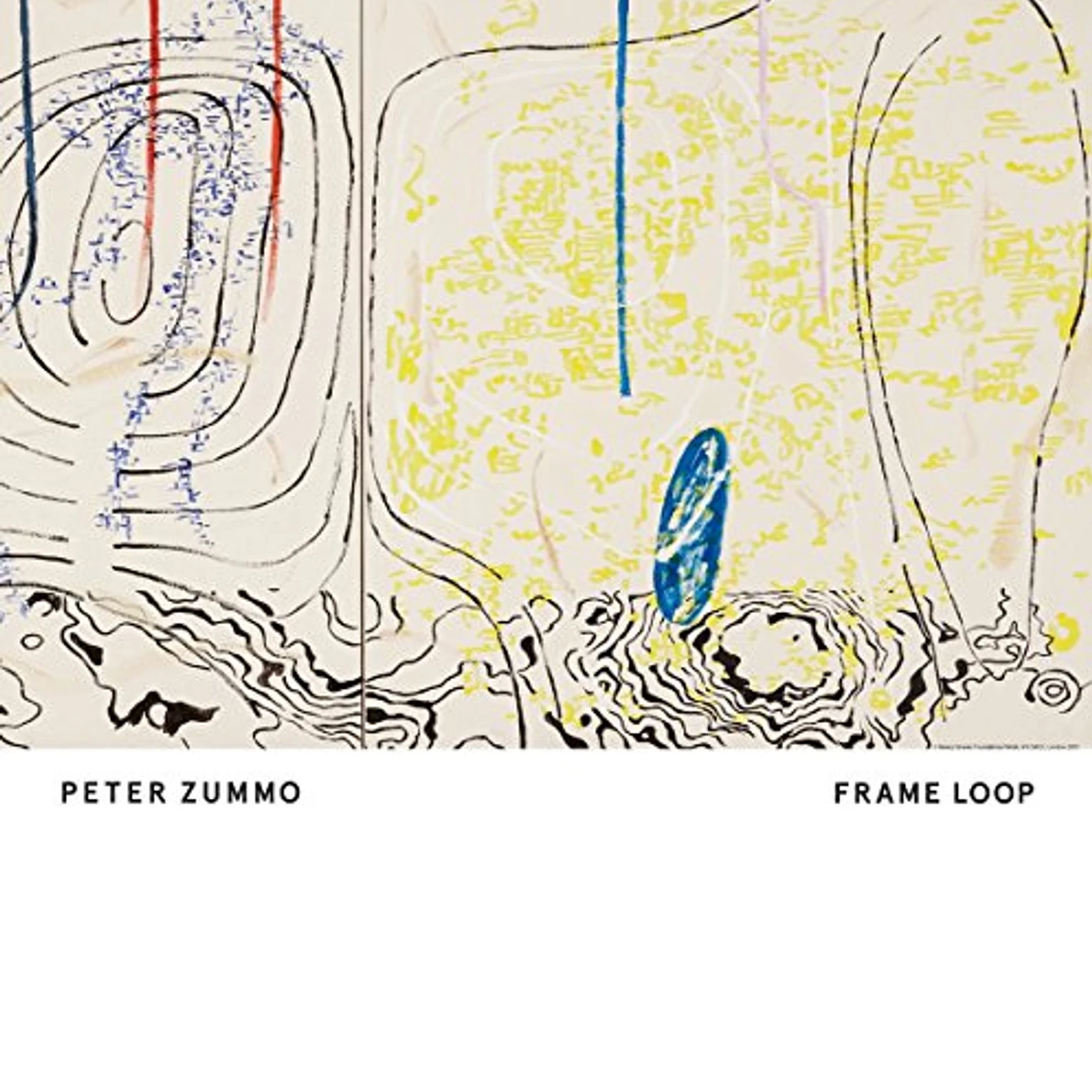 Peter Zummo FRAME LOOP Vinyl Record