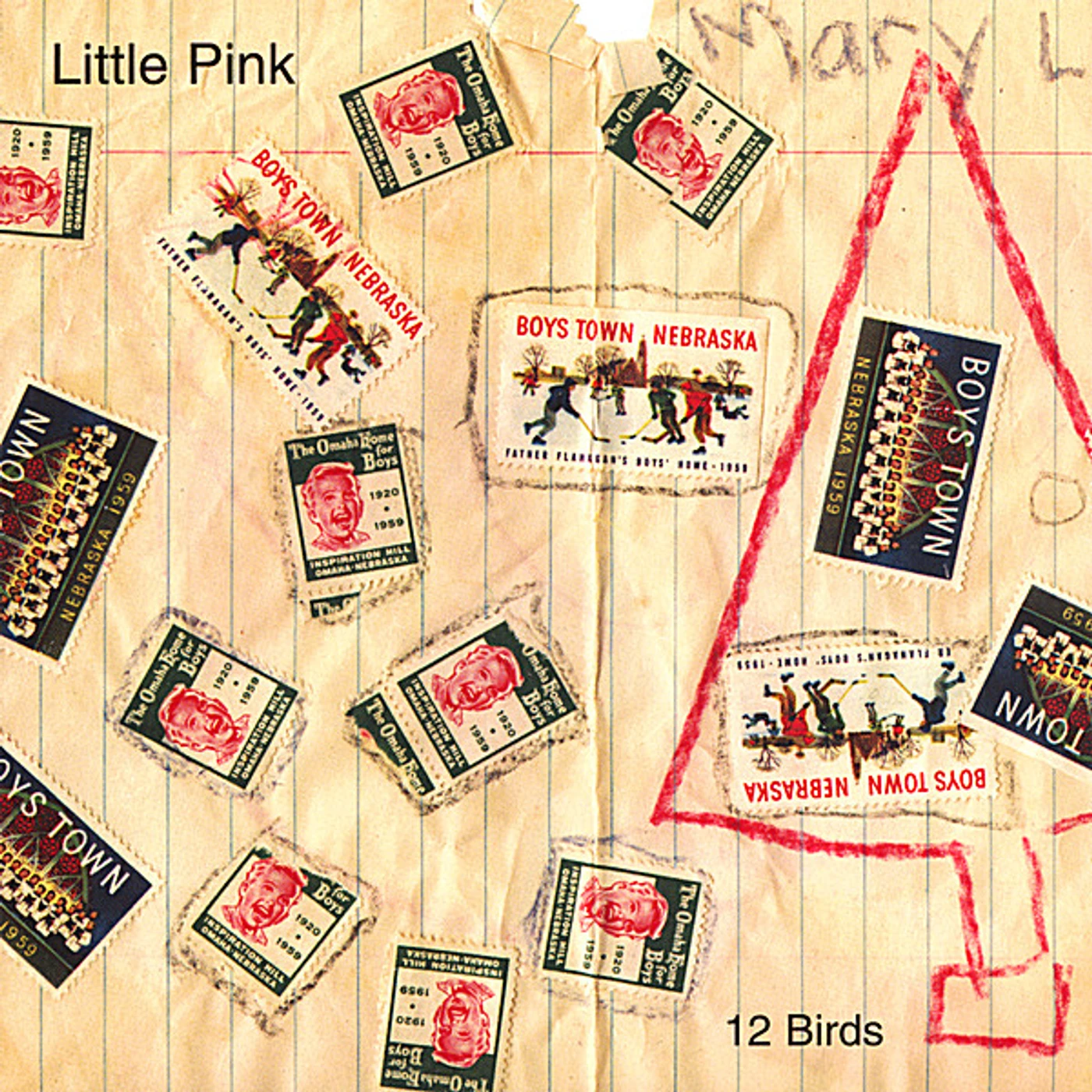 Little Pink 12 BIRDS CD