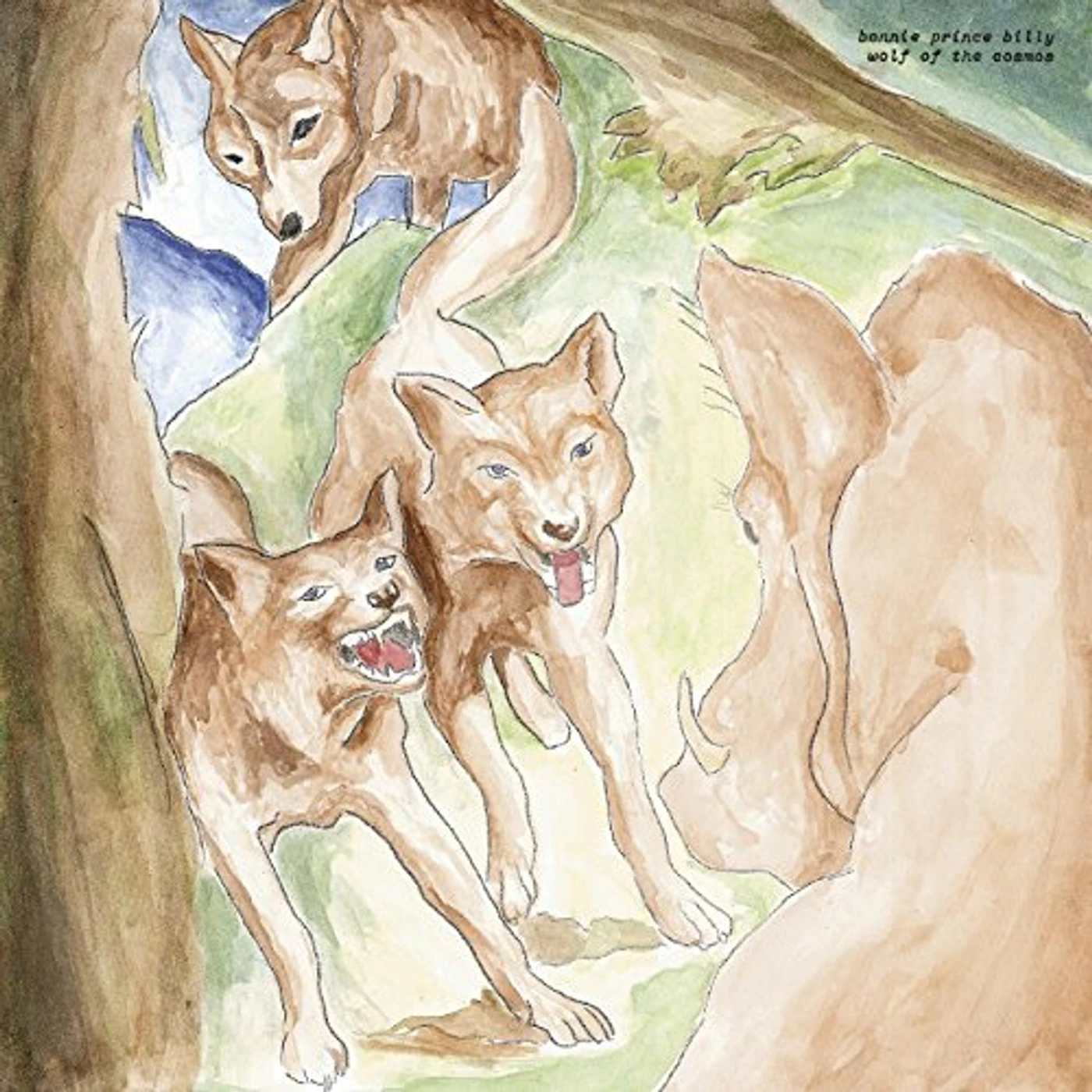 Bonnie Prince Billy Wolf Of The Cosmos Vinyl Record