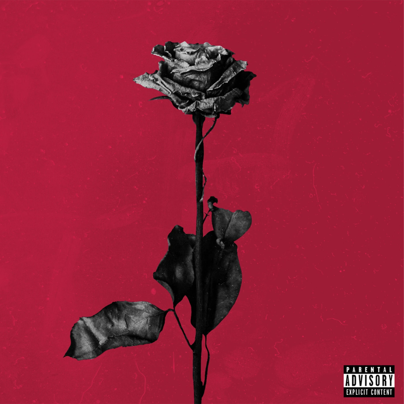 blackbear Deadroses Vinyl Record