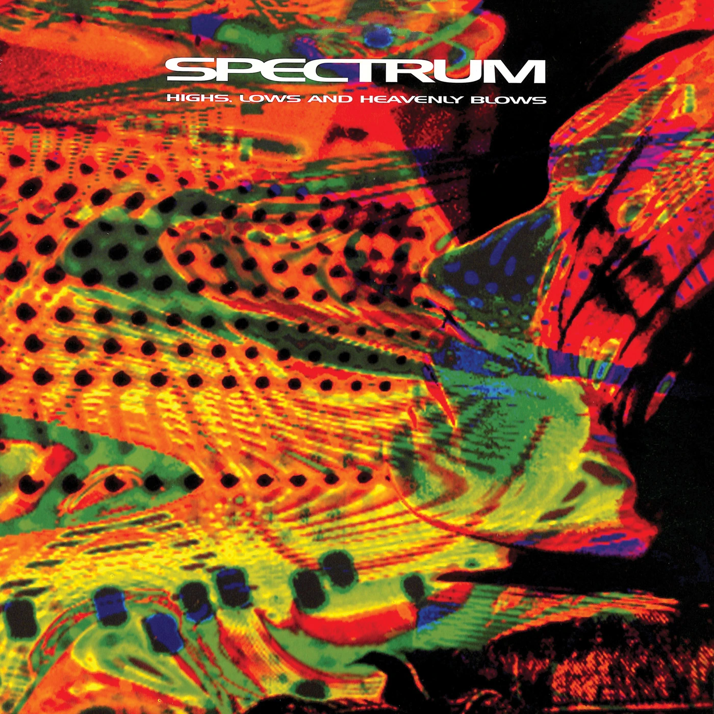Spectrum HIGHS LOWS & HEAVENLY BLOWS Vinyl Record