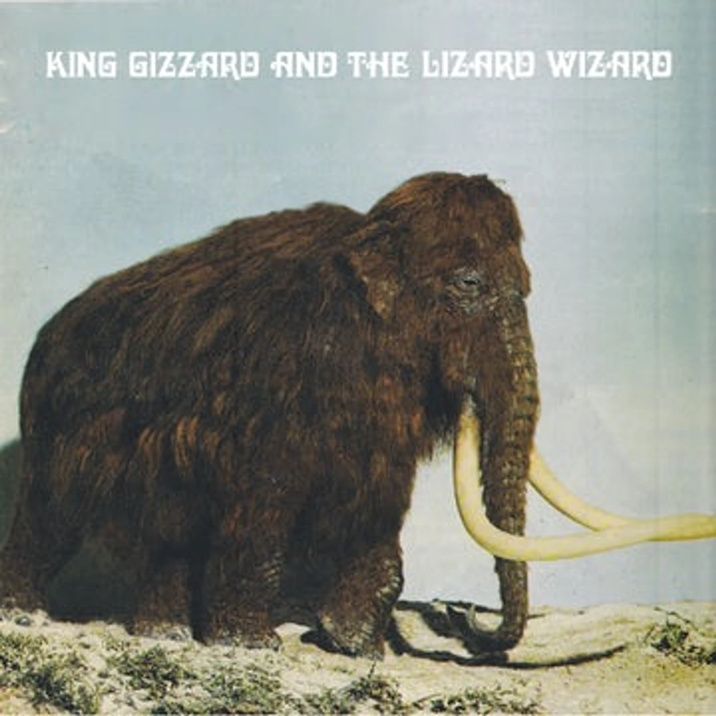 King Gizzard & The Lizard Wizard POLYGONDWANALAND (FUZZ CLUB VERSION) Vinyl Record