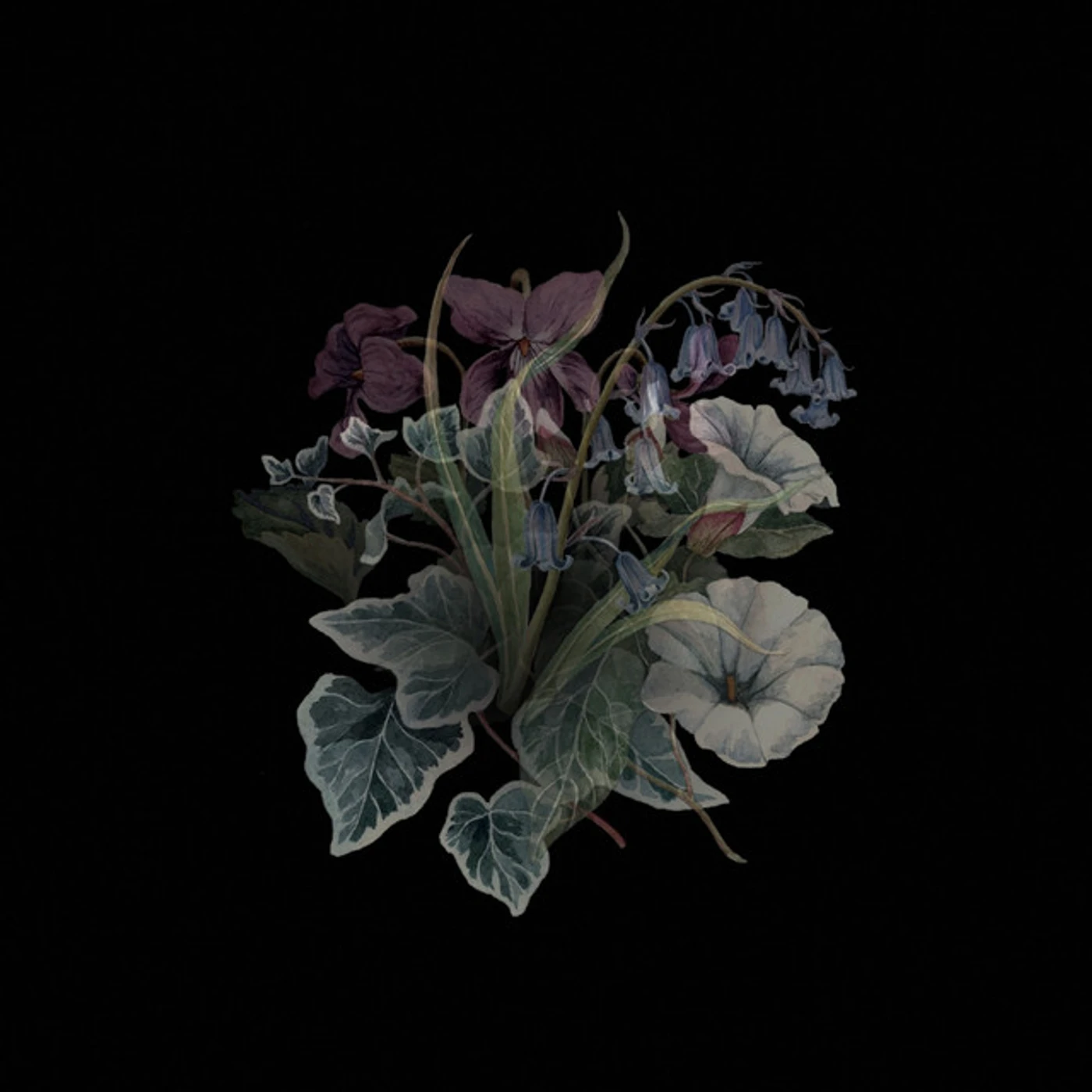 Nhor Wildflowers Vinyl Record