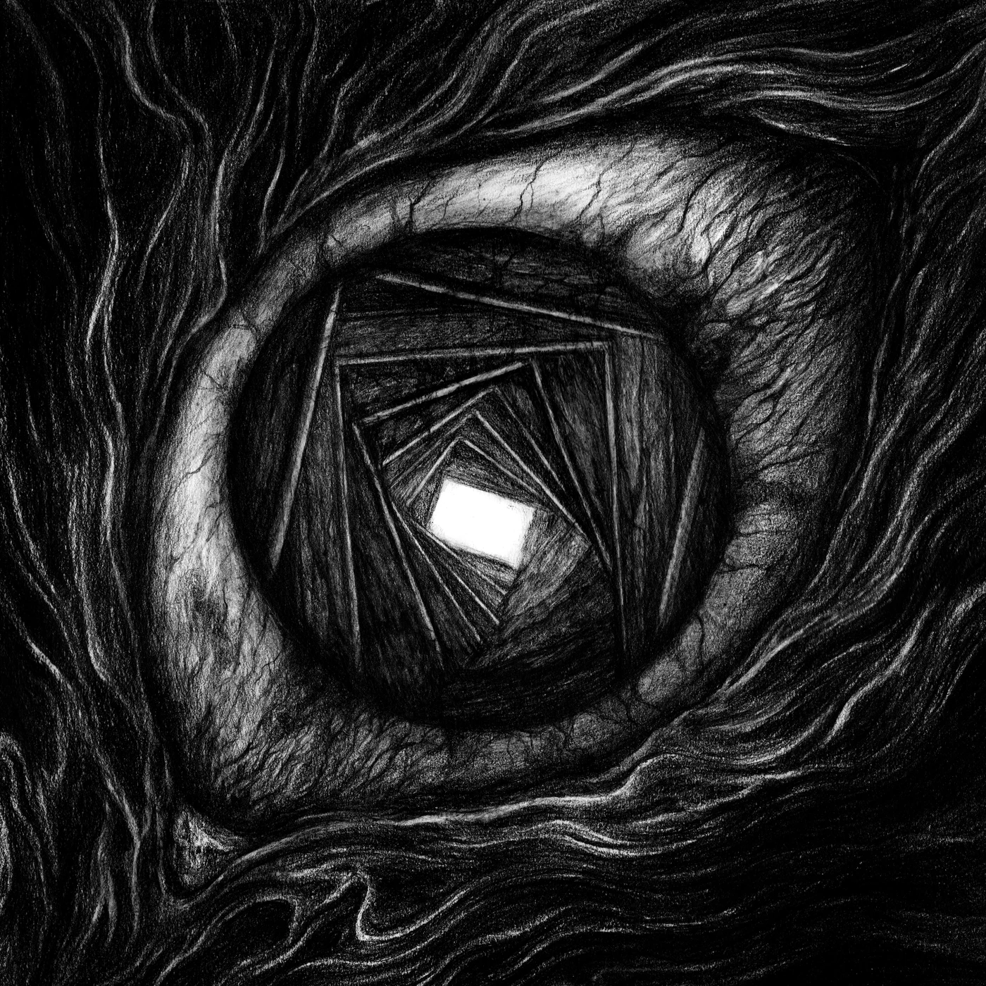 Carpe Noctem Vitrun Vinyl Record
