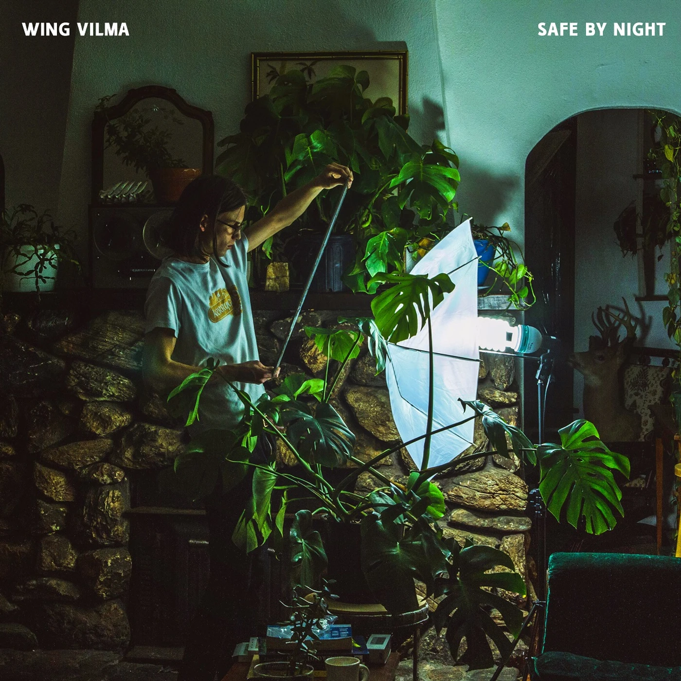 Wing Vilma Safe by Night Vinyl Record