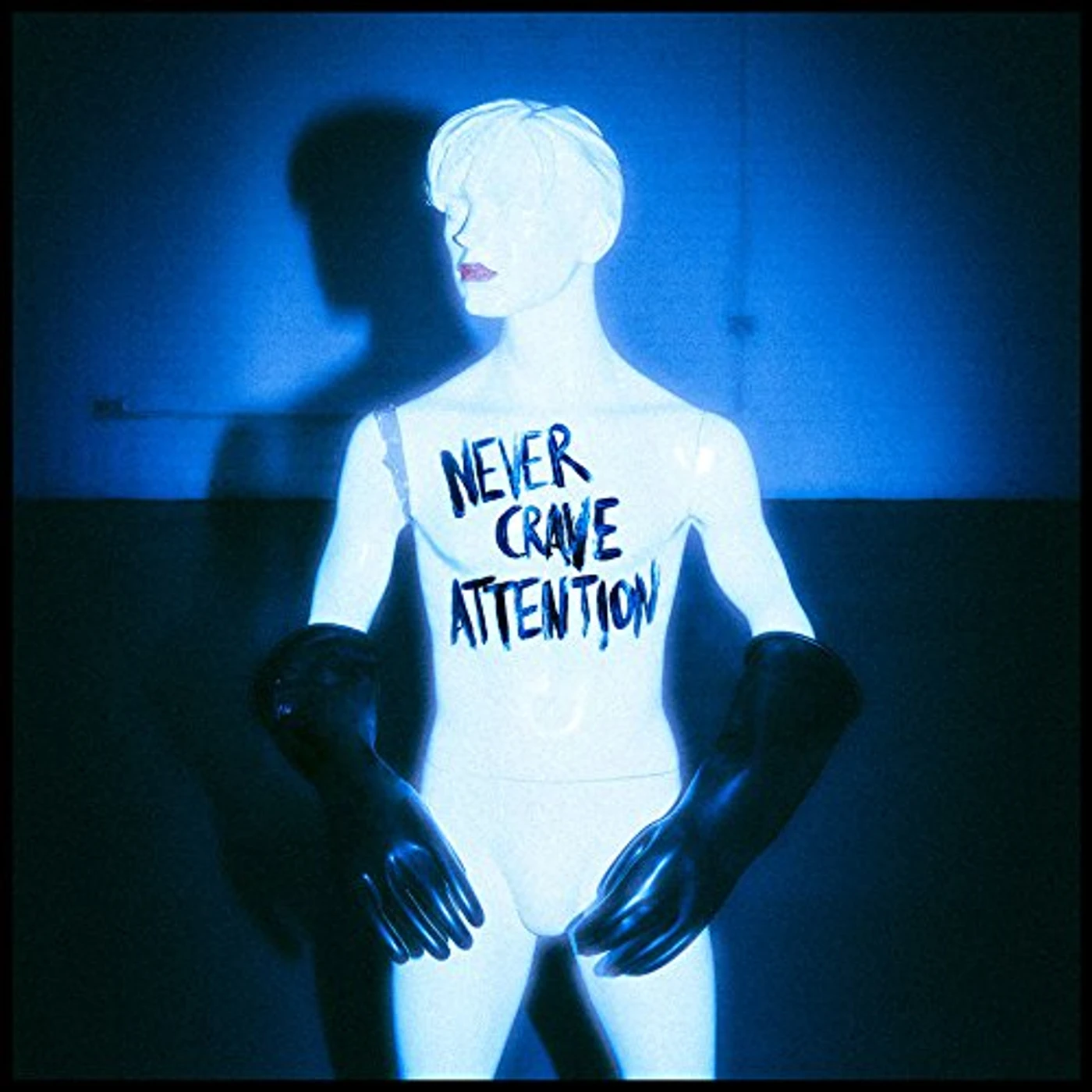 The Ninth Wave Never Crave Attention Vinyl Record