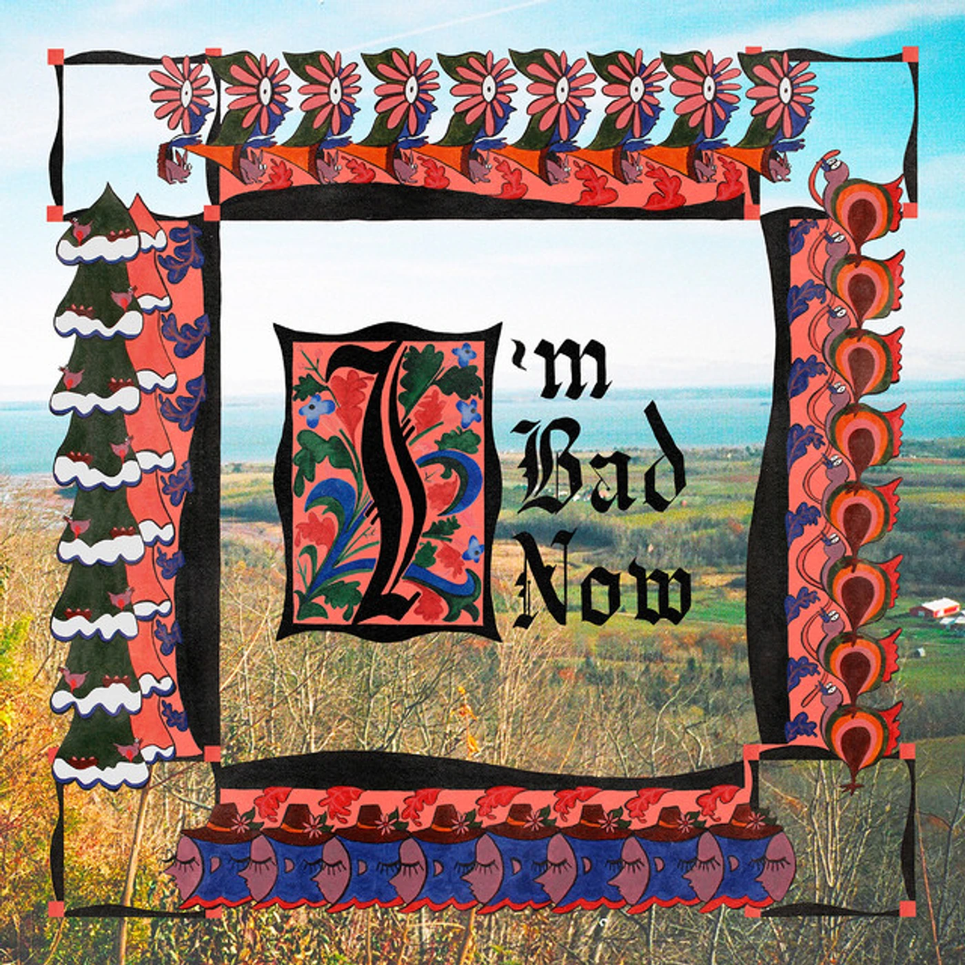 Nap Eyes I'm Bad Now Vinyl Record