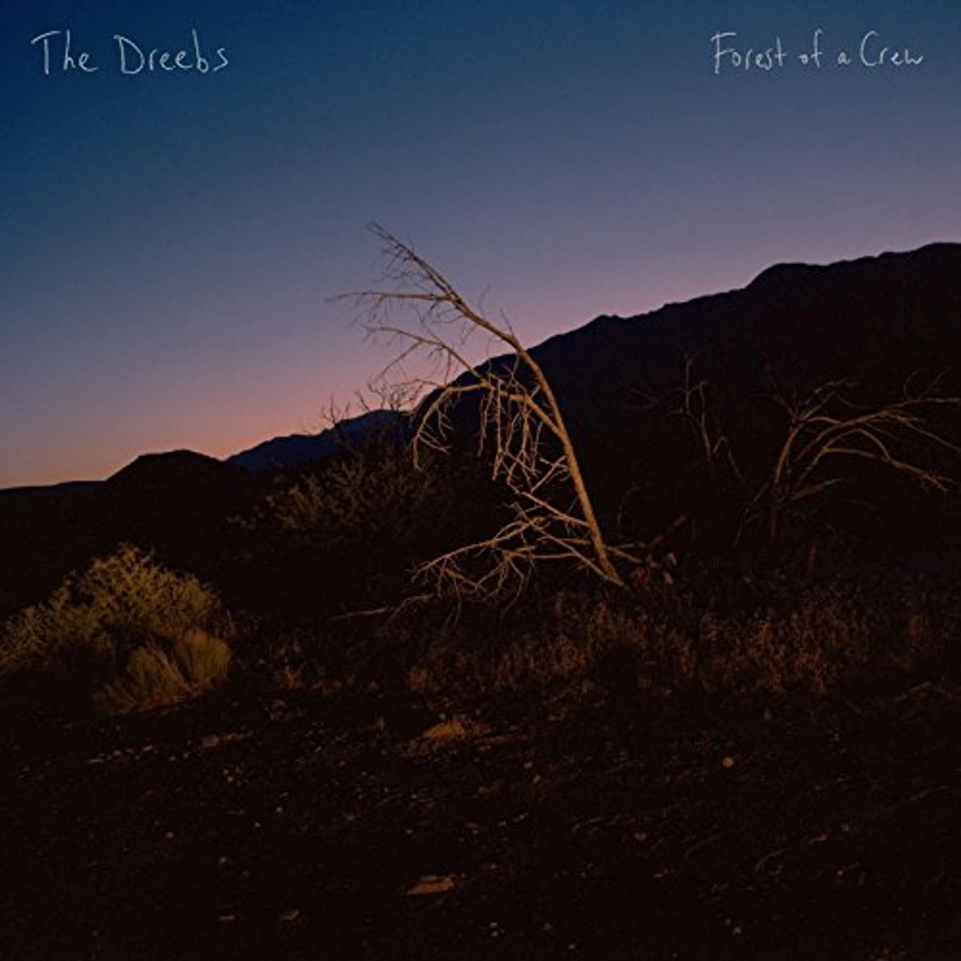 The Dreebs FOREST OF A CREW CD