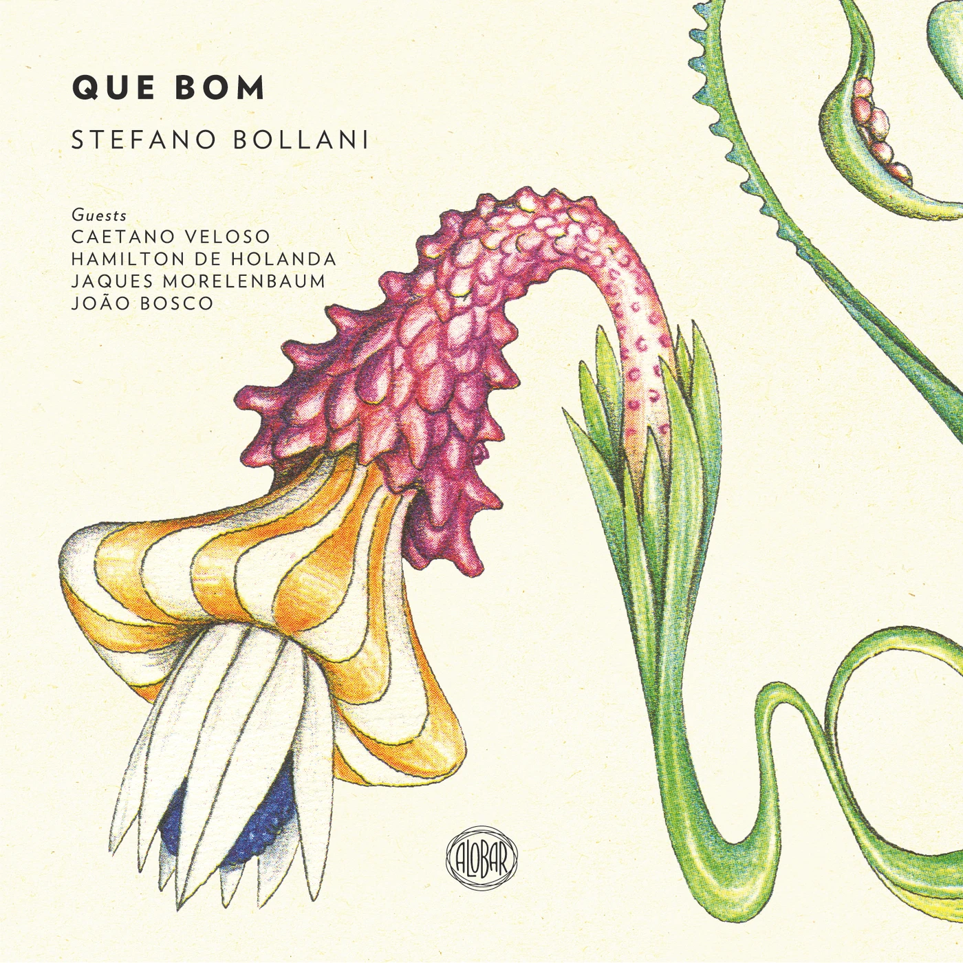 Stefano Bollani QUE BOM CD