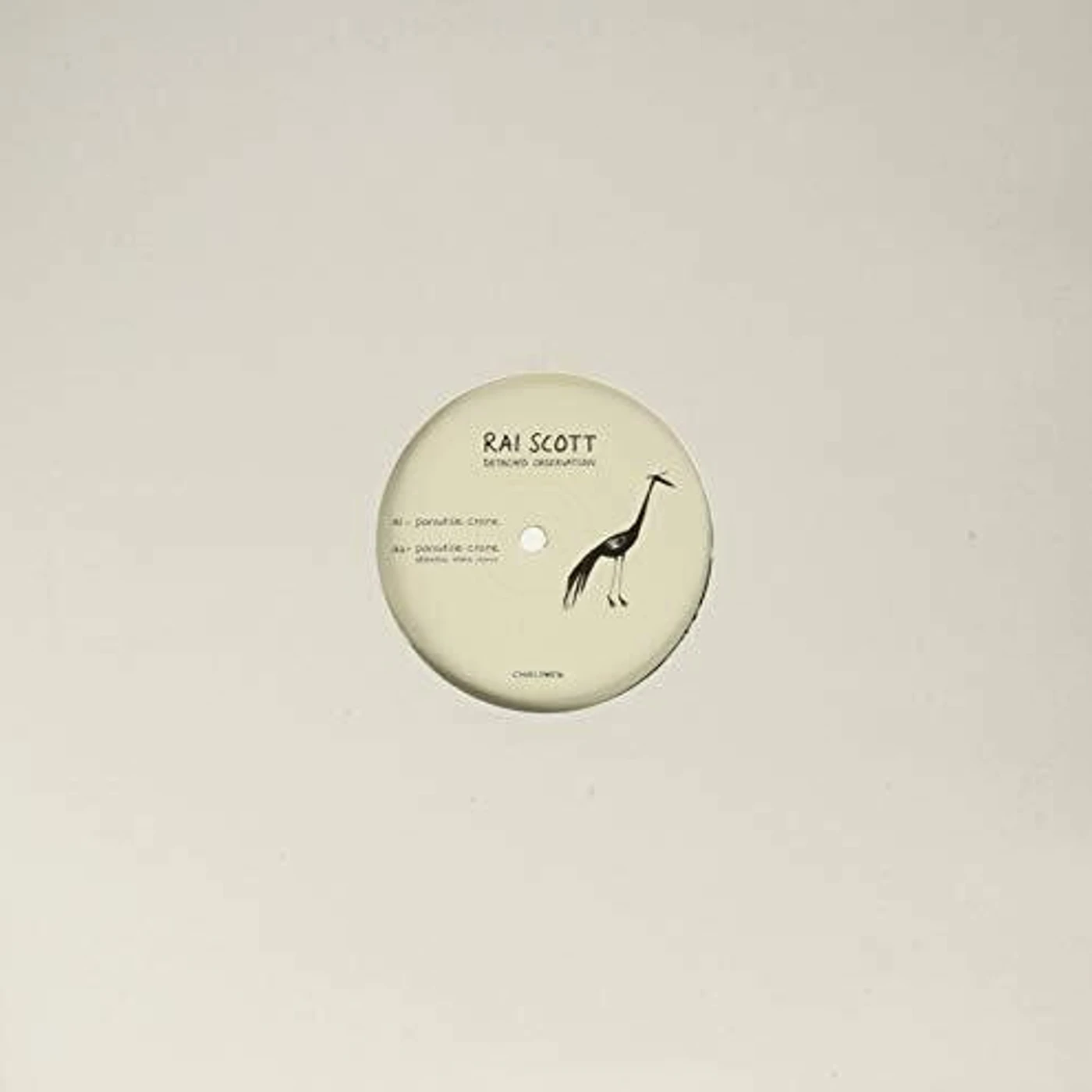 Rai Scott Detached Observation Vinyl Record