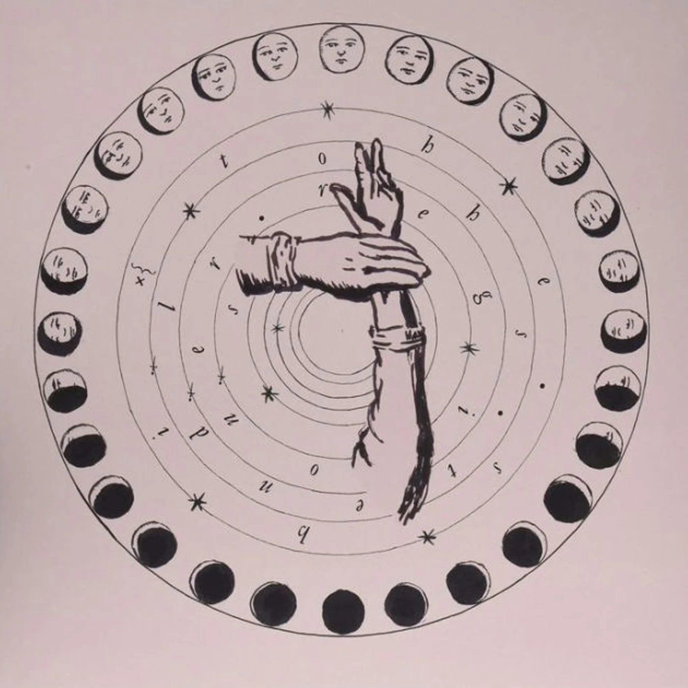 The Shilohs Tender Regions Vinyl Record