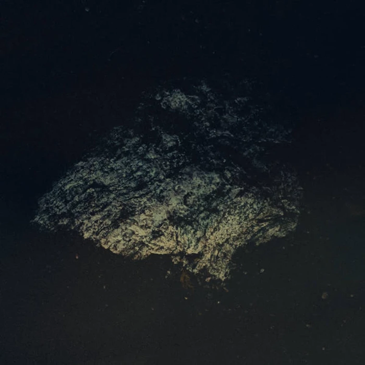 Multicast Dynamics Lost World Vinyl Record