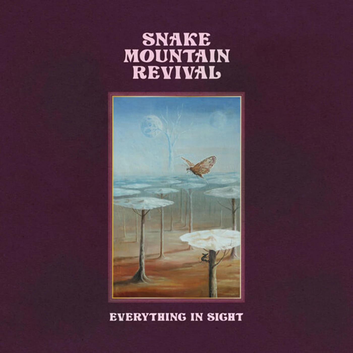 Snake Mountain Revival Everything In Sight Vinyl Record