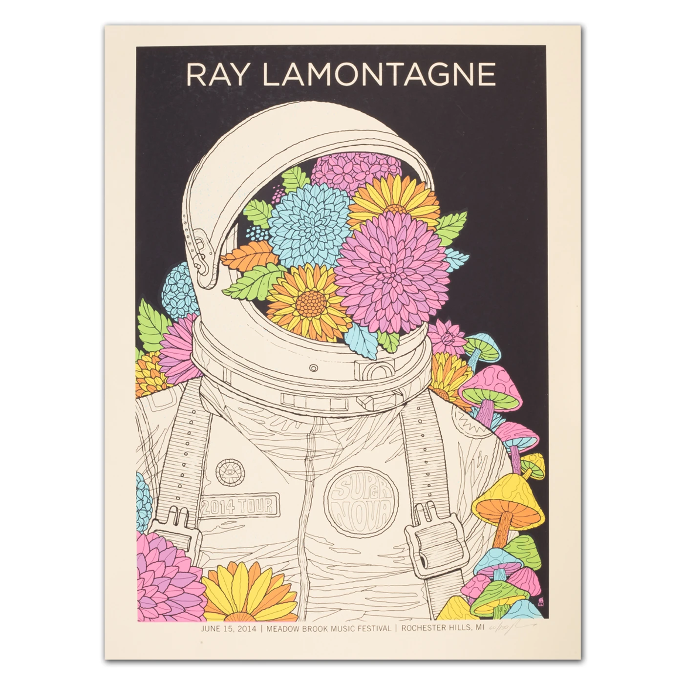 Ray LaMontagne 2014 Rochester Hills, MI Event Poster Signed
