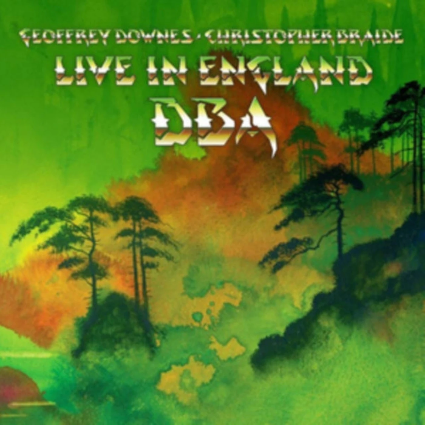 Downes Braide Association LP Vinyl Record - Live In England