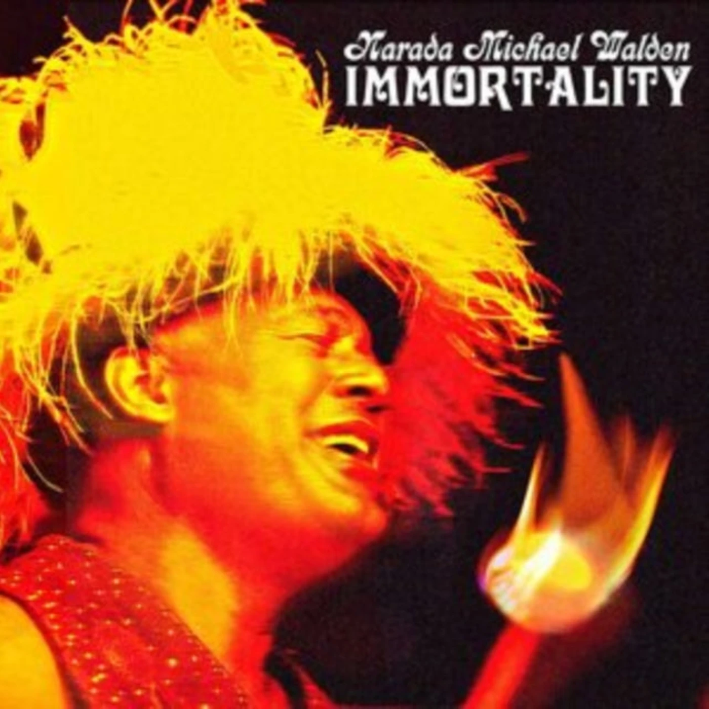 Narada Michael Walden LP Vinyl Record - Immortality