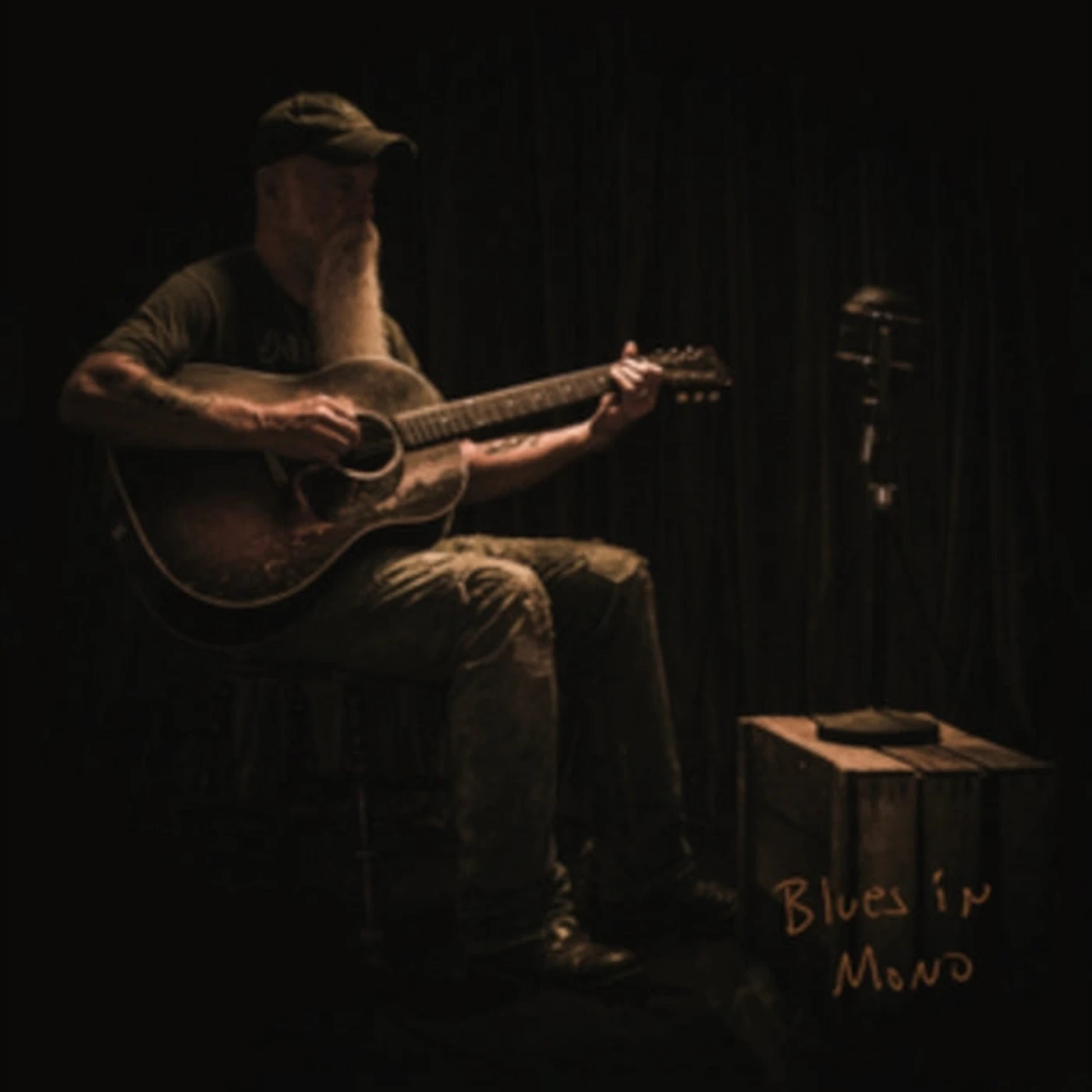 Seasick Steve LP Vinyl Record - Blues In Mono