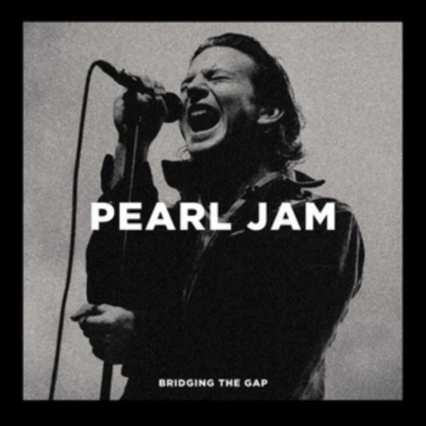 Pearl Jam LP - Bridging The Gap (Vinyl)