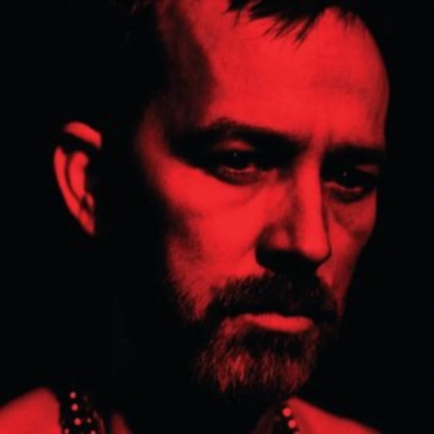 Duquette Johnston CD - The Social Animals