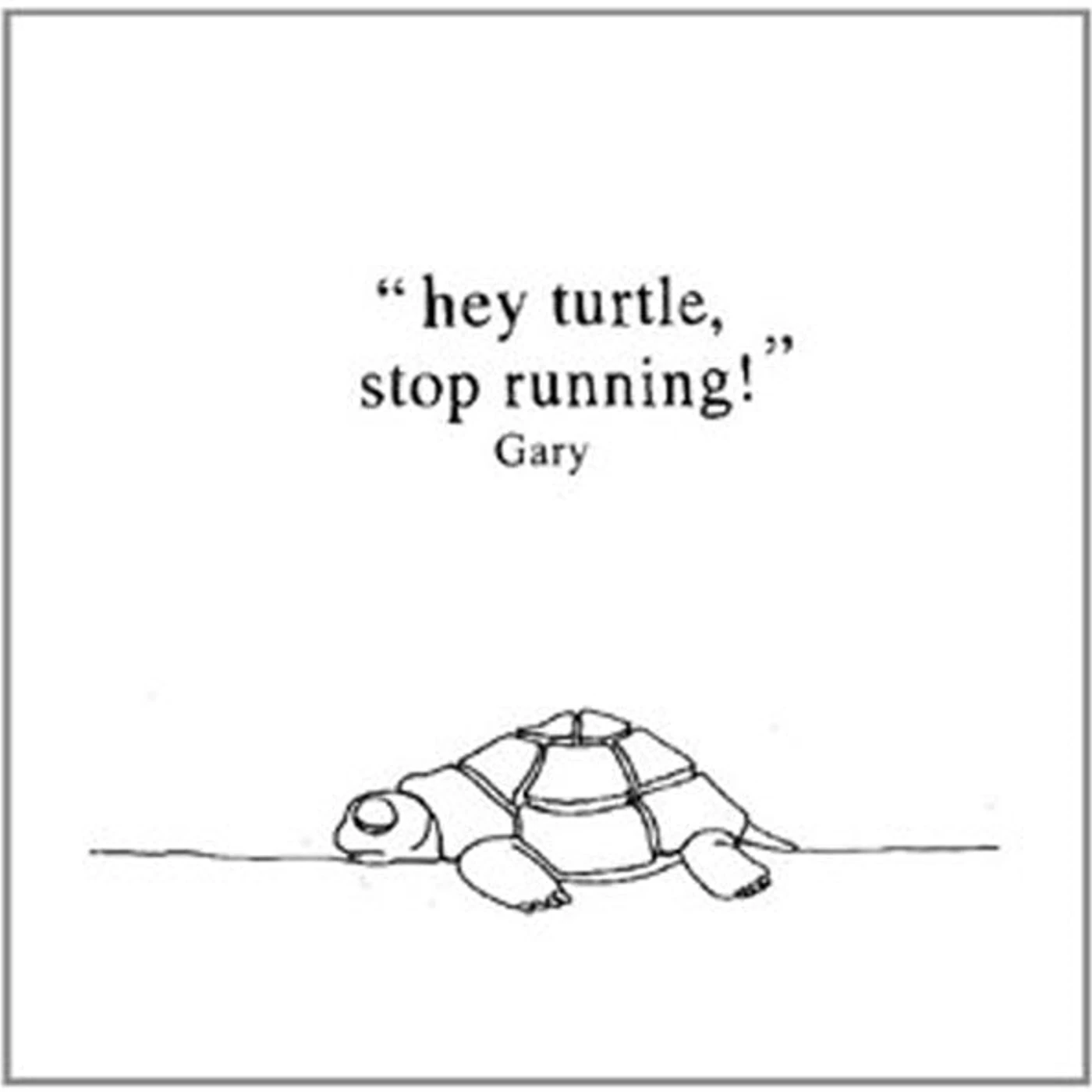 GARY LP - Hey Turtle, Stop Running! (Plus Downloadcode) (Vinyl)