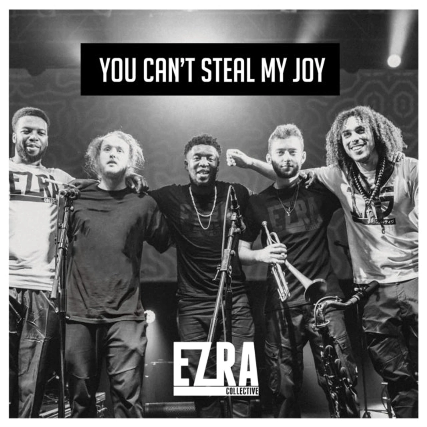 Ezra Collective LP - You Can'T Steal My Joy (Vinyl)