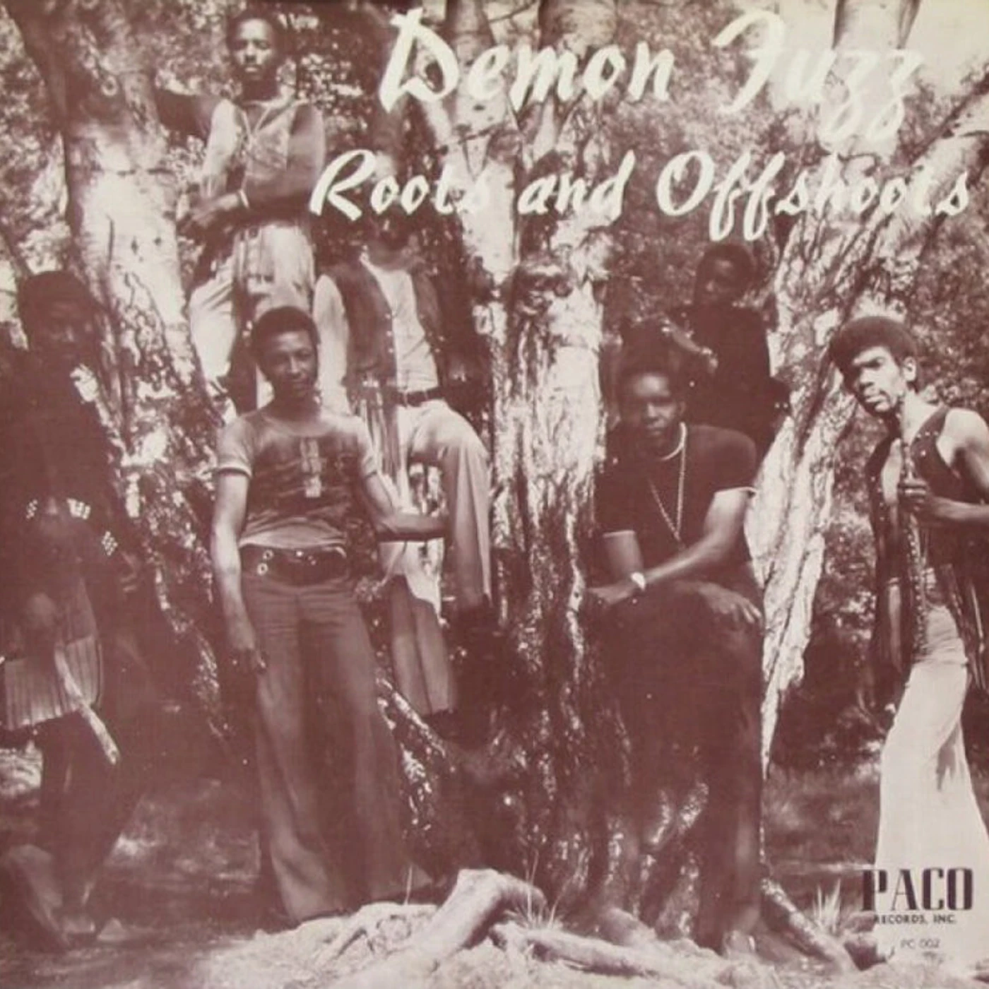 Demon Fuzz LP - Roots And Offshoots (Vinyl)
