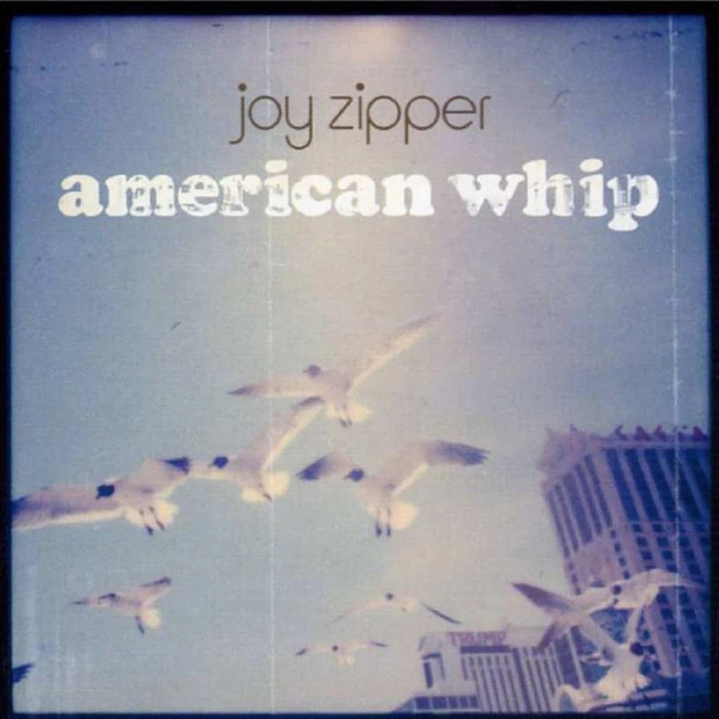 Joy Zipper LP - American Whip (Vinyl)