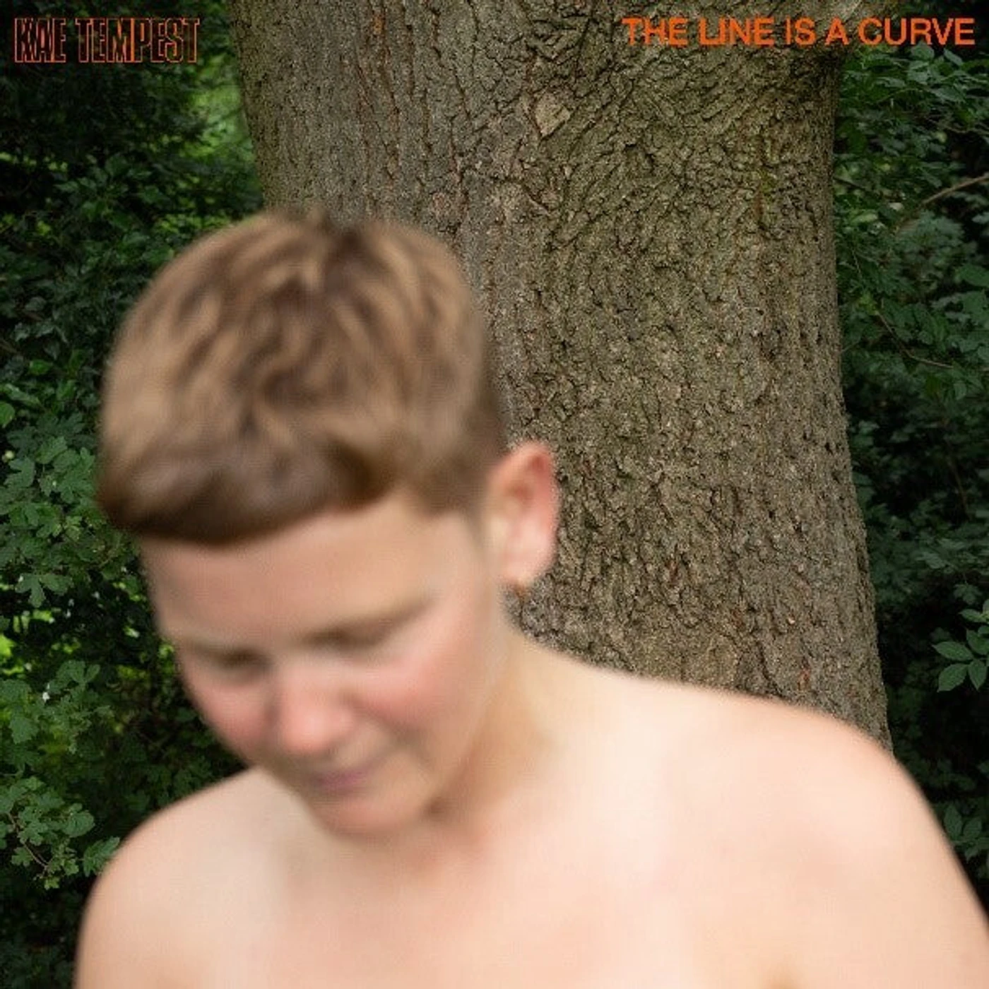 Kae Tempest LP - The Line Is A Curve (Vinyl)