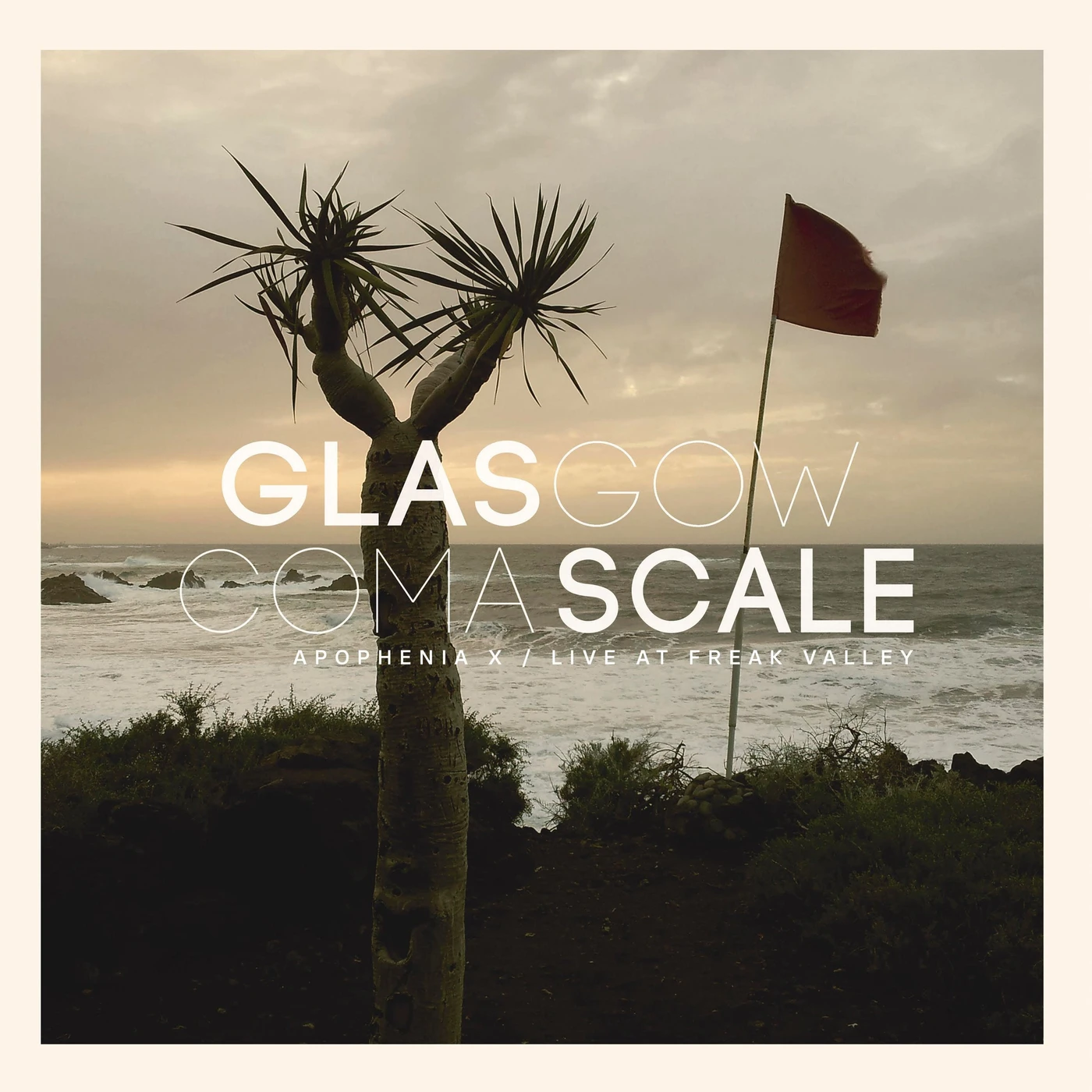 Glasgow Coma Scale LP - Apophenia X / Live At Freak Valley (2Lp) (Vinyl)