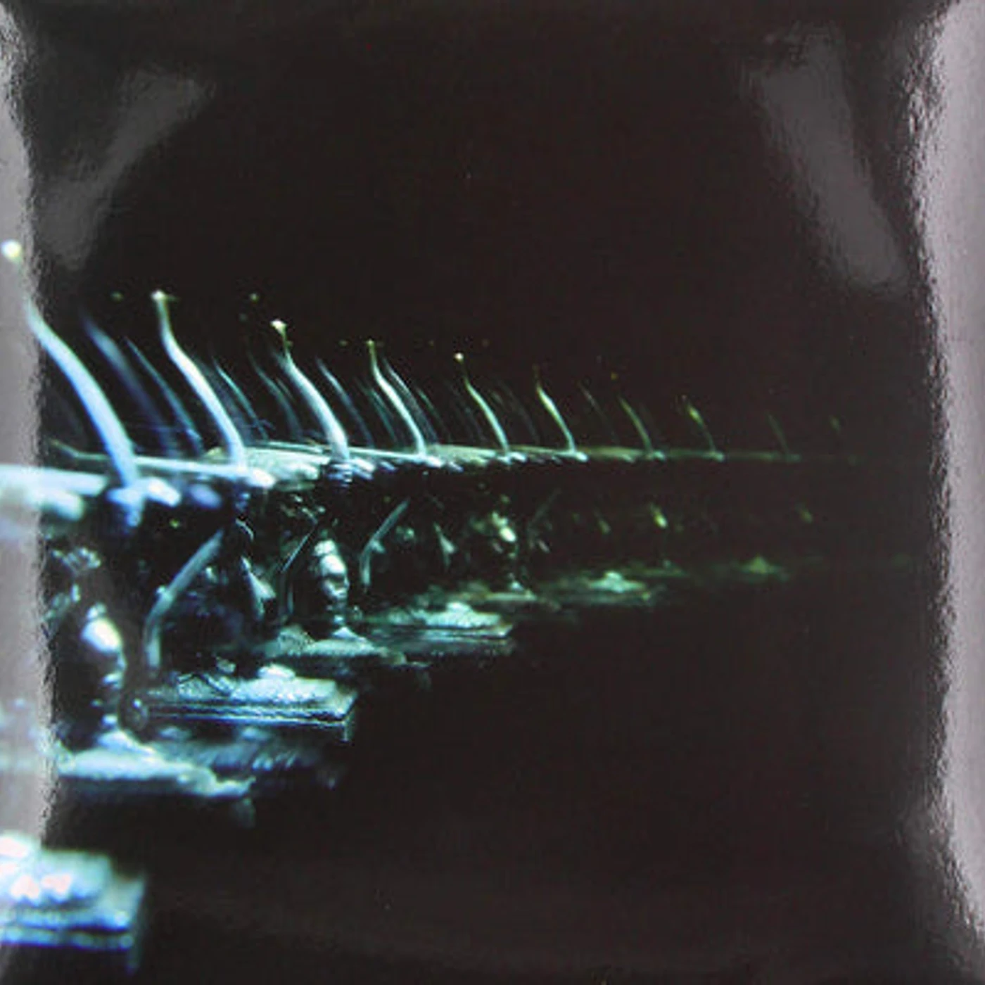 OSE LP - Ellipsis: (Vinyl)