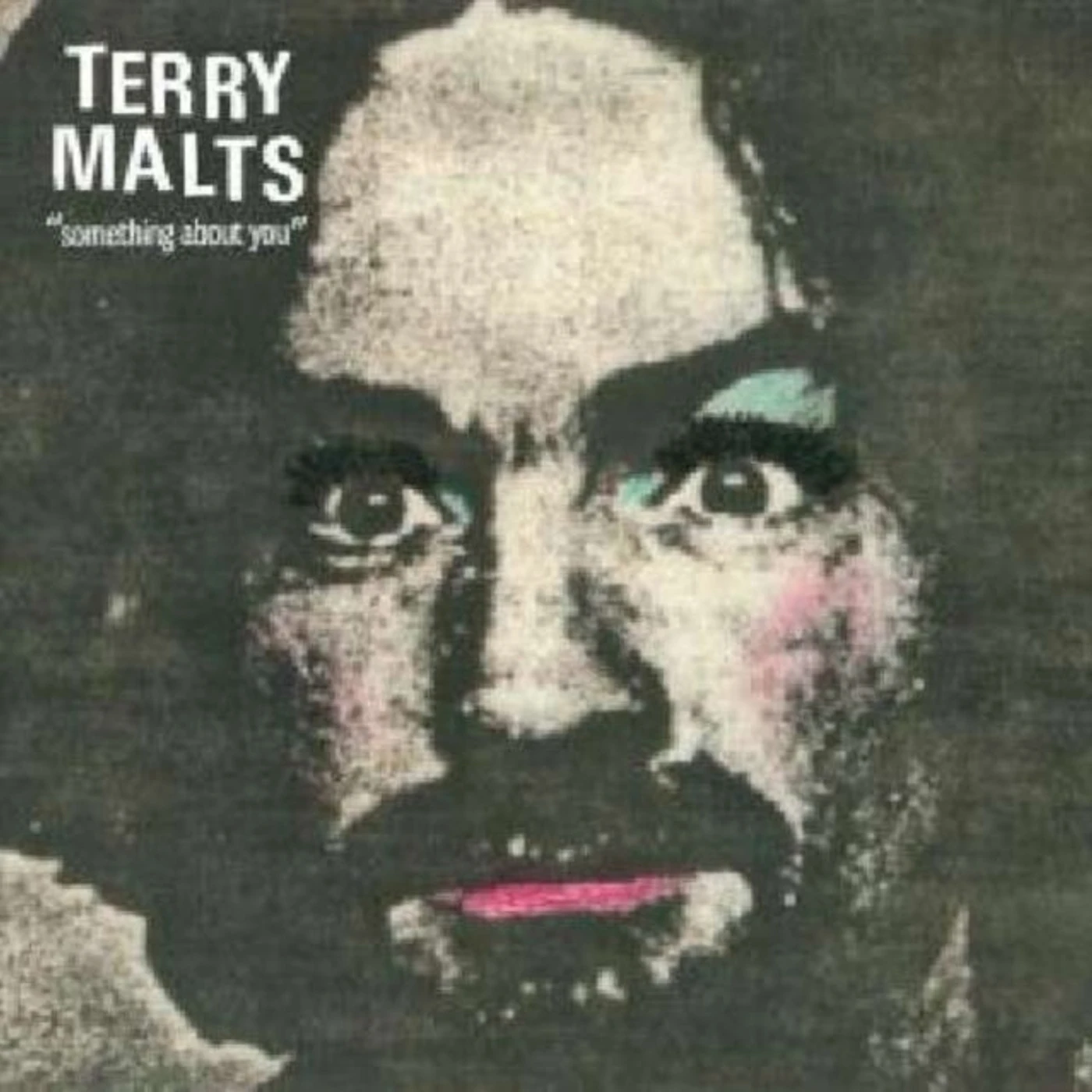 Terry Malts 7Inch - Something About You (Pink Vinyl)