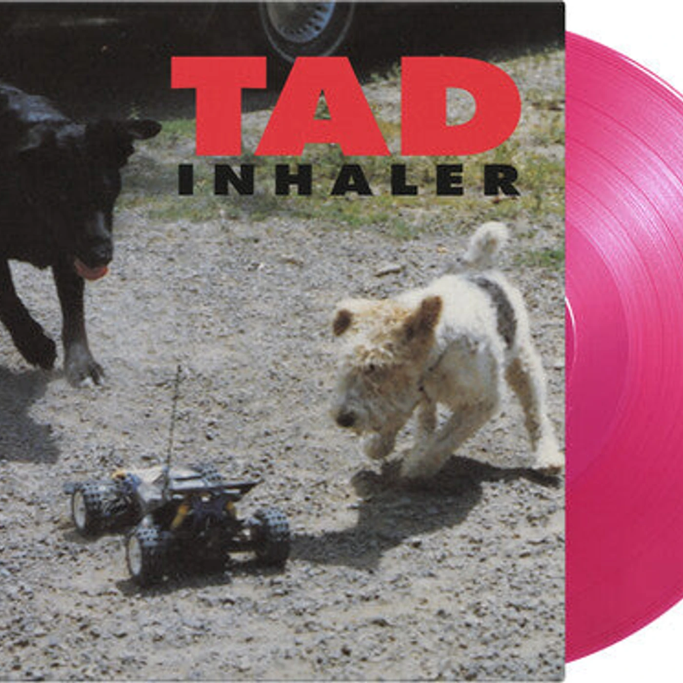 Tad LP Vinyl - Inhaler (Colv) (Ltd) (Mgta) (Ogv) (Hol)