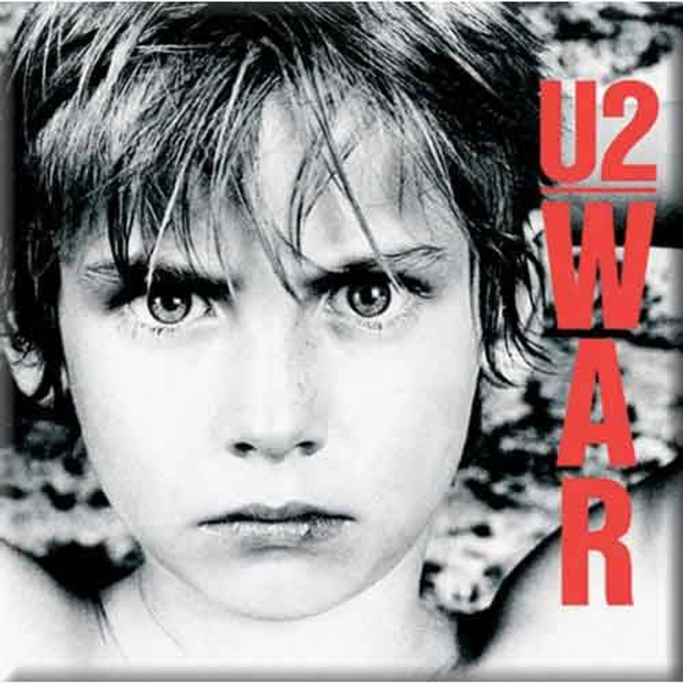 U2 Fridge Magnets - Whiskey Label