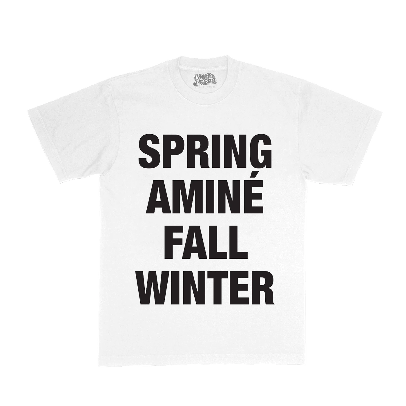 Aminé 13 Seasons Show Tee