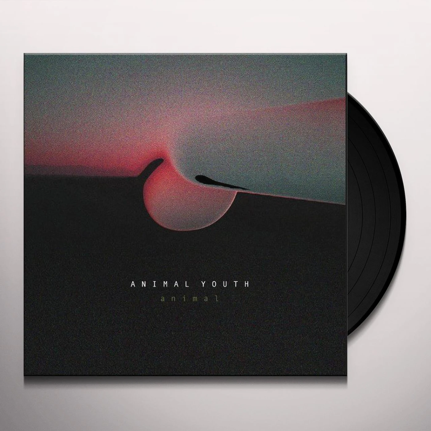 Animal Youth ANIMAL Vinyl Record