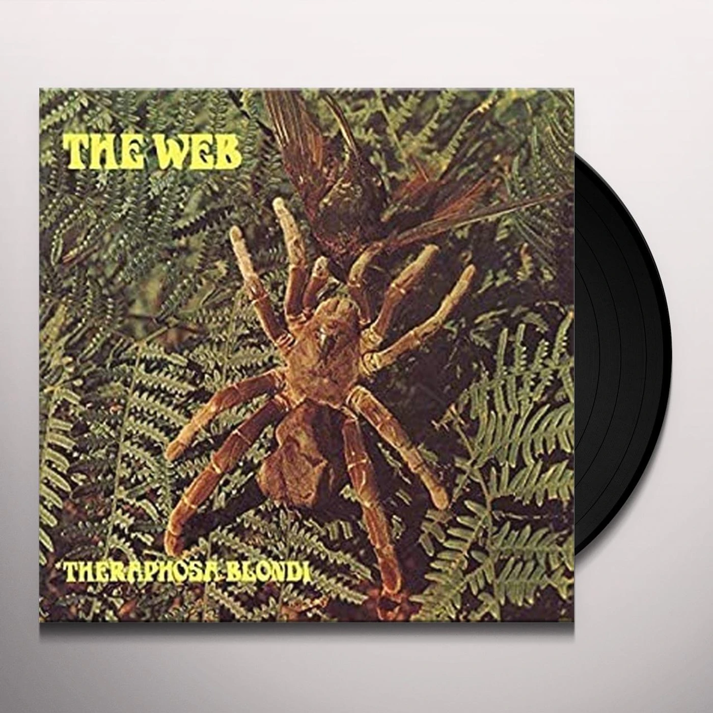 Web THERAPHOSA BLONDI Vinyl Record - Italy Release