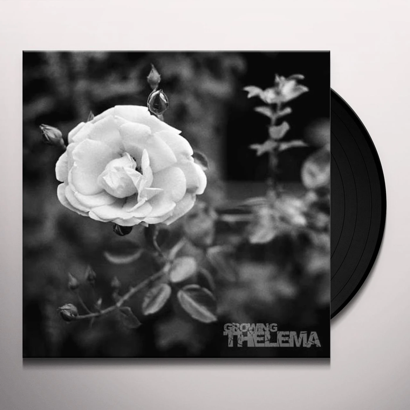 Thelema GROWING (UK) (Vinyl)