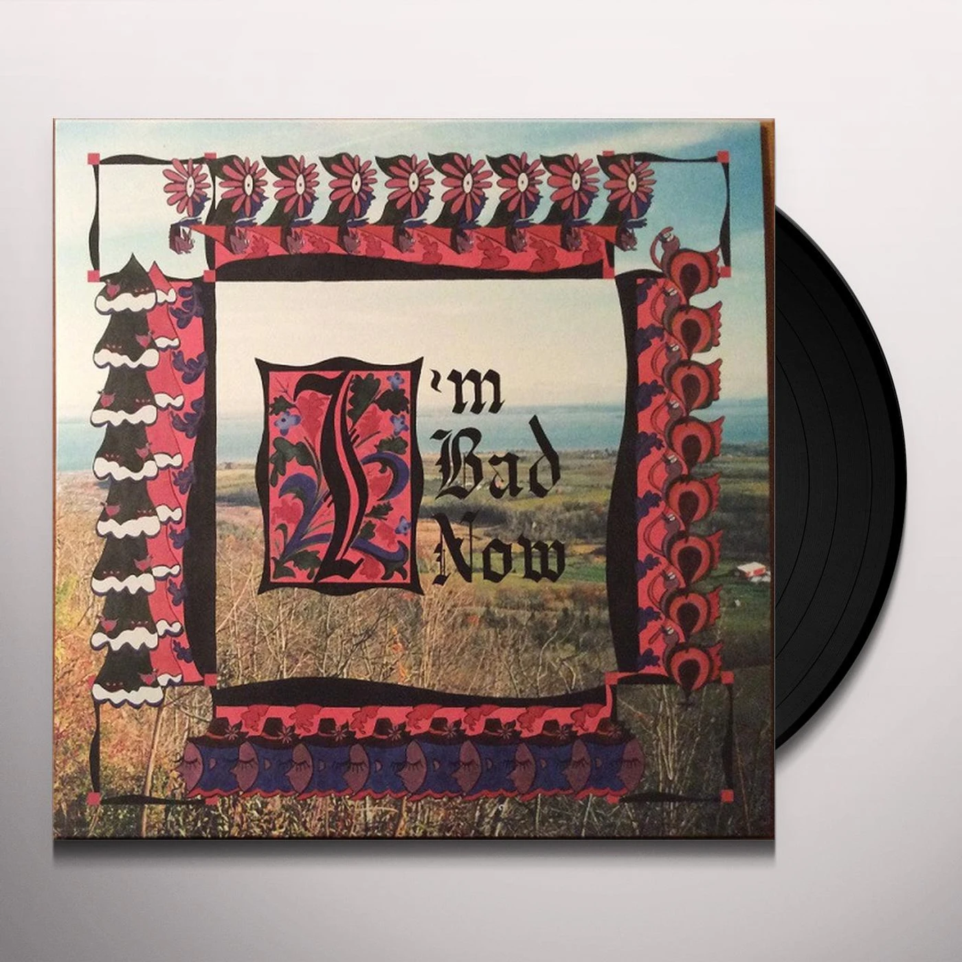 Nap Eyes I'm Bad Now Vinyl Record