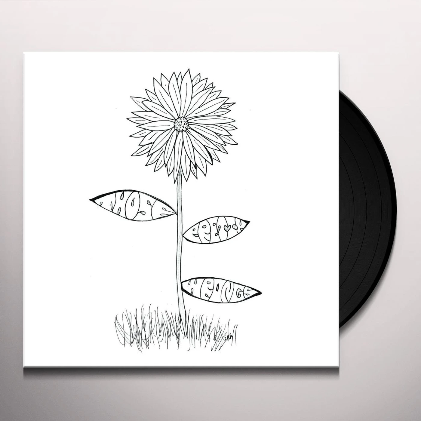 Those Pretty Wrongs Lucky Guy Vinyl Record