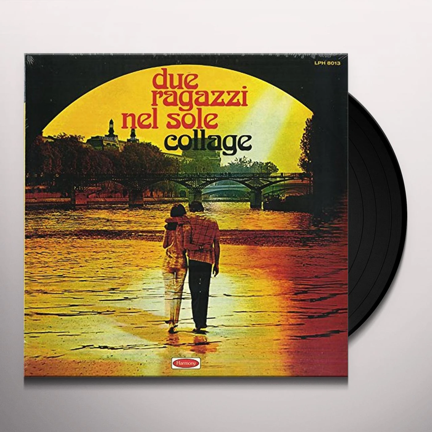 Collage DUE RAGAZZI AL SOLE Vinyl Record