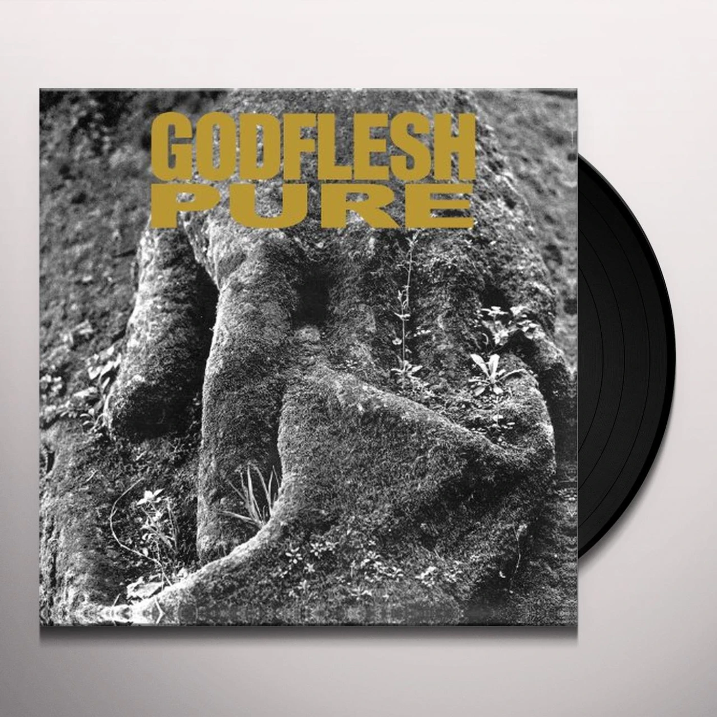 Godflesh Pure Vinyl Record