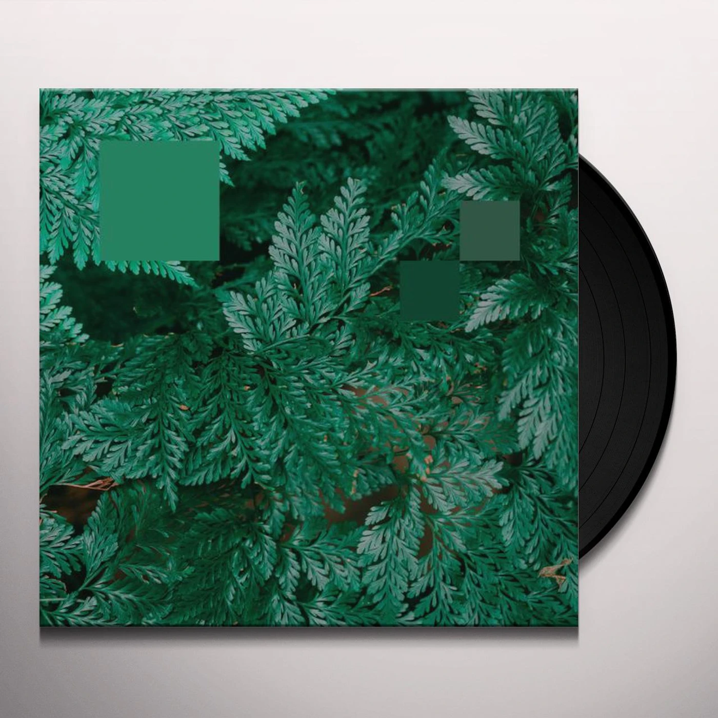 Nebraska METAPHOR TO THE FLOOR Vinyl Record