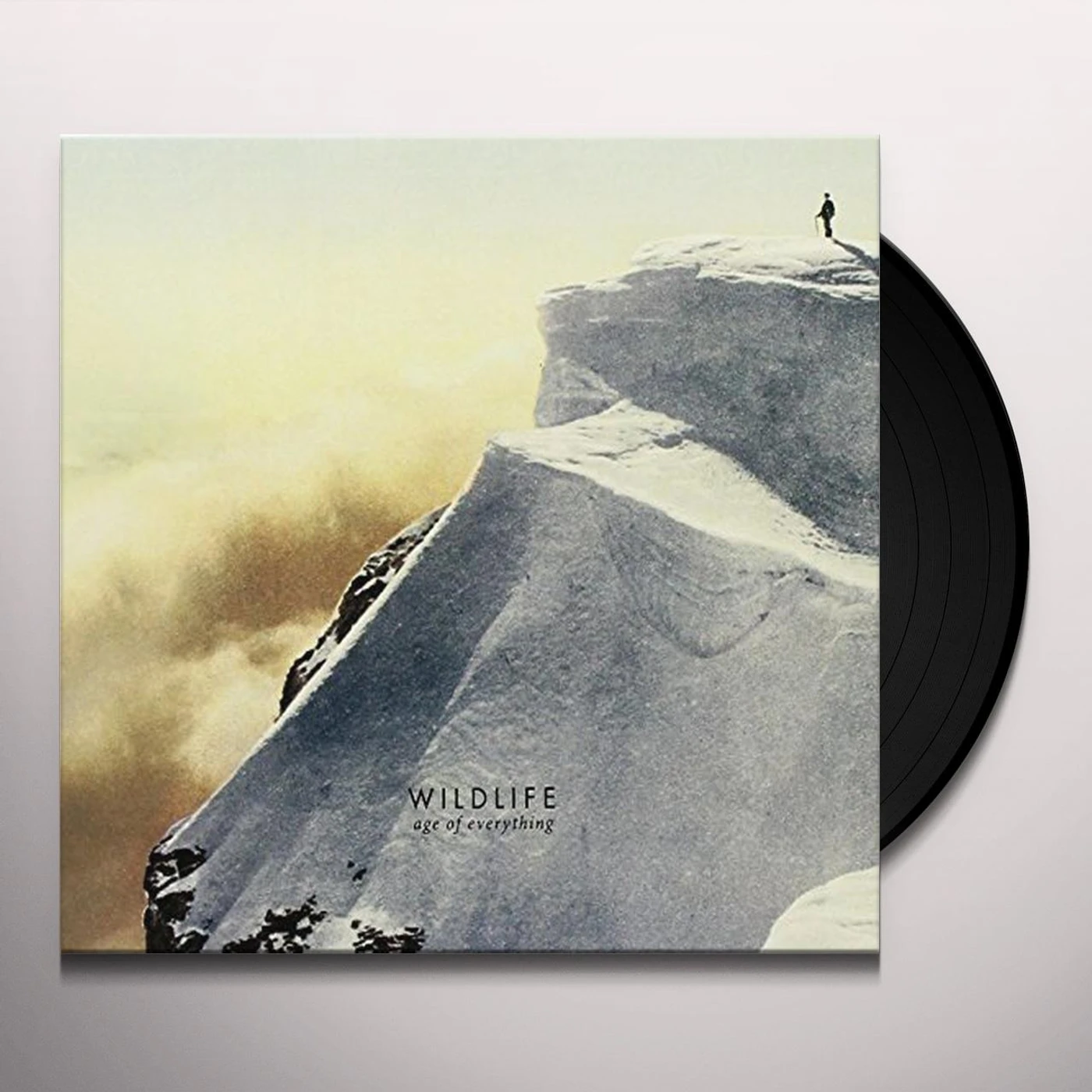 Wildlife Age Of Everything Vinyl Record