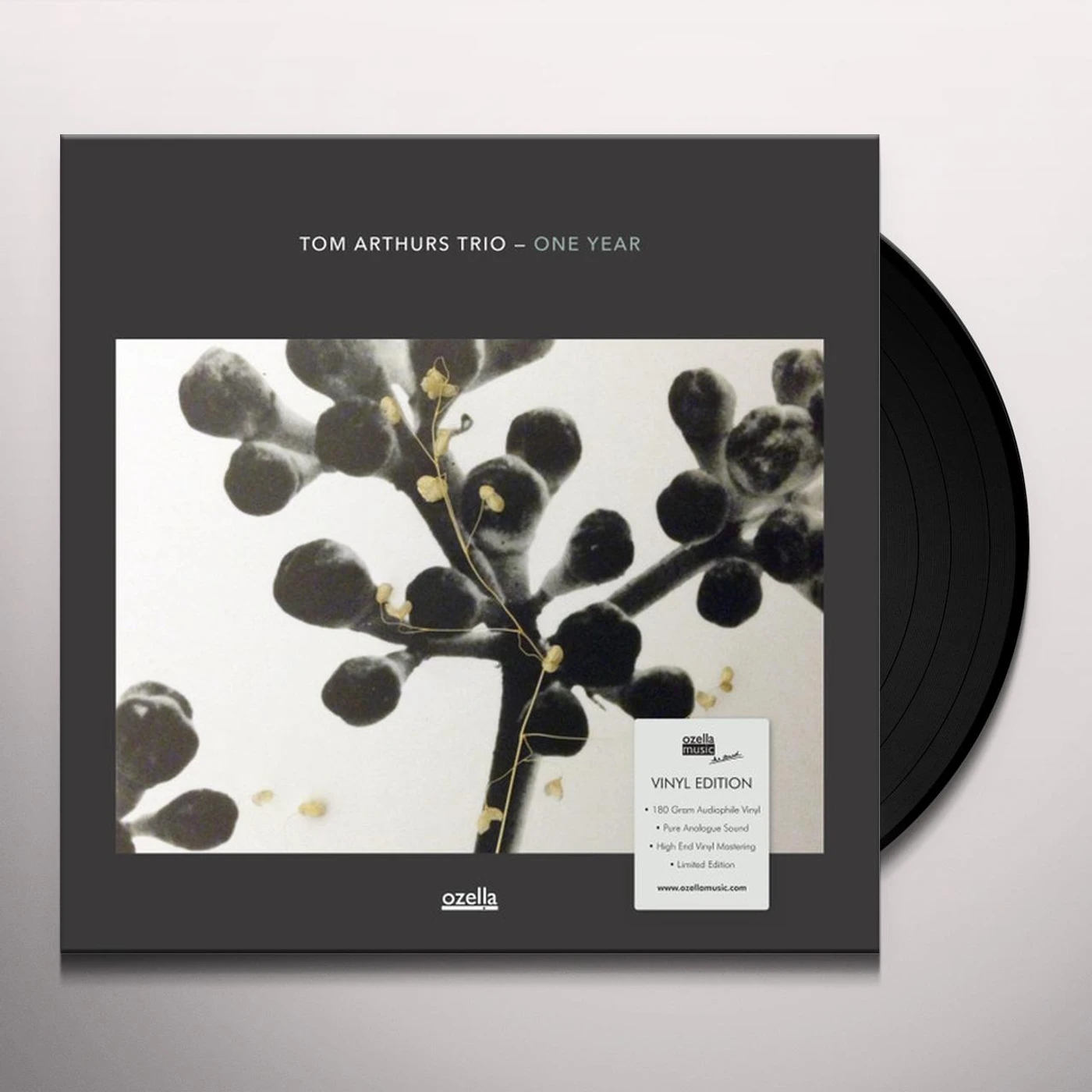 Tom Arthurs One Year Vinyl Record