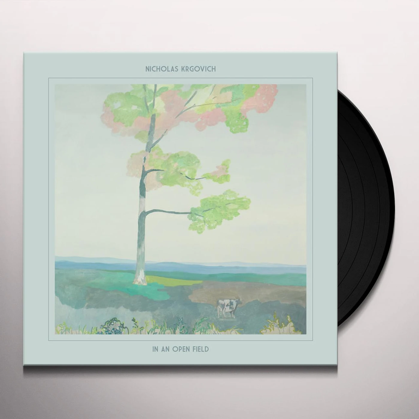 Nicholas Krgovich In an Open Field Vinyl Record