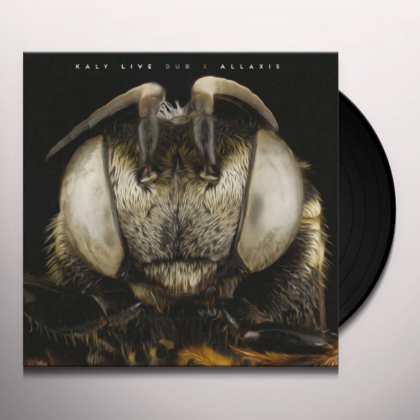 Kaly Live Dub Allaxis Vinyl Record