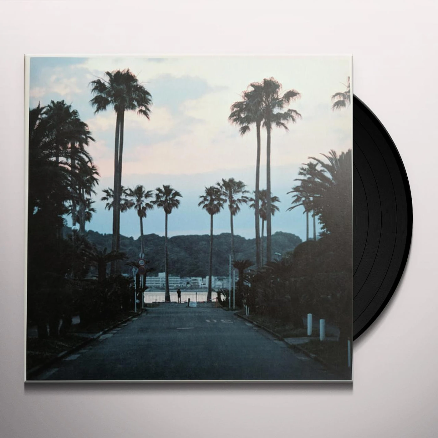 Submerse Are You Anywhere Vinyl Record